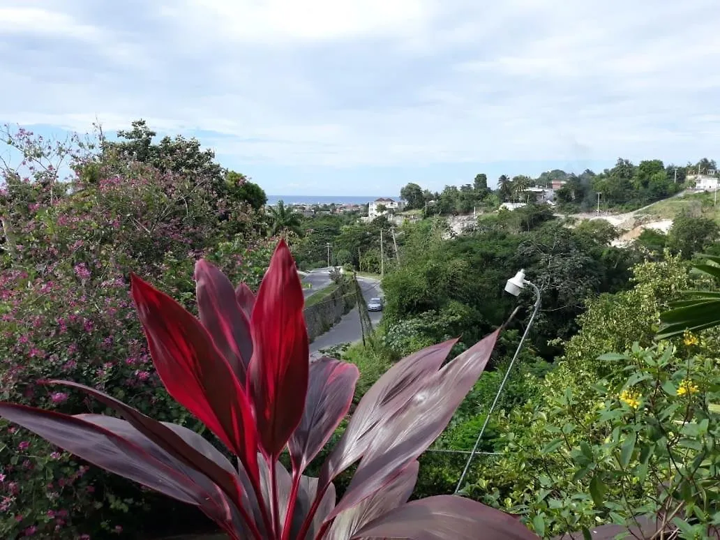 דירות מונטגו ביי Nuu Naples Hills ג'מייקה